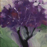 "Deep Purple" ©Annette Ragone Hall - acrylic on canvas - 6" x 6"